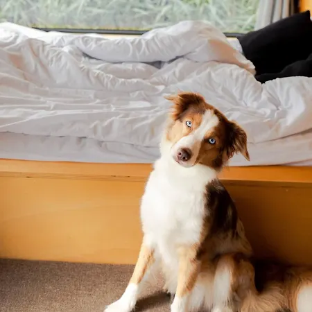 Offgrid Am In Brandenburg Tiny House Natururlaub Bei Berlin База отдыха Зелов