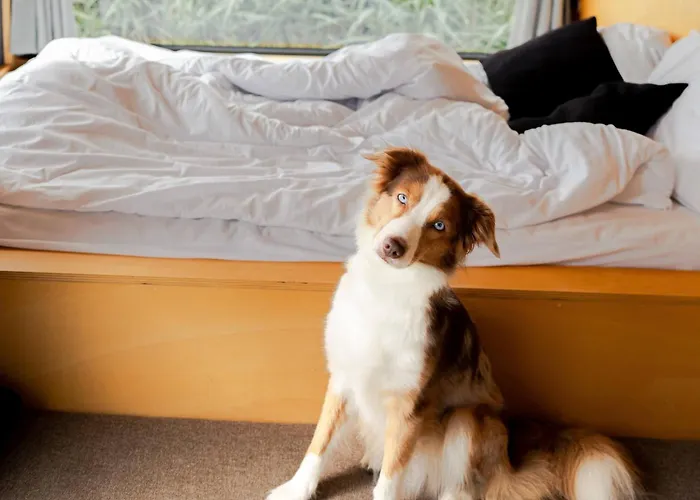 Offgrid Am In Brandenburg Tiny House Natururlaub Bei Berlin منتزه العطل سيلو